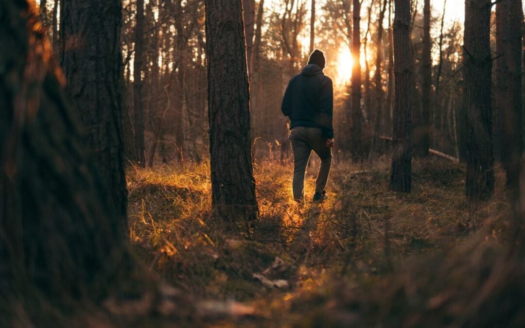 Camminare lentamente: benefici reali per corpo e mente